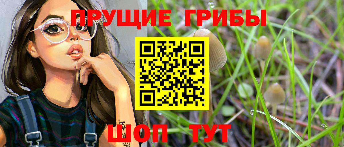 Галлюциногенные грибы прущие грибы Строитель