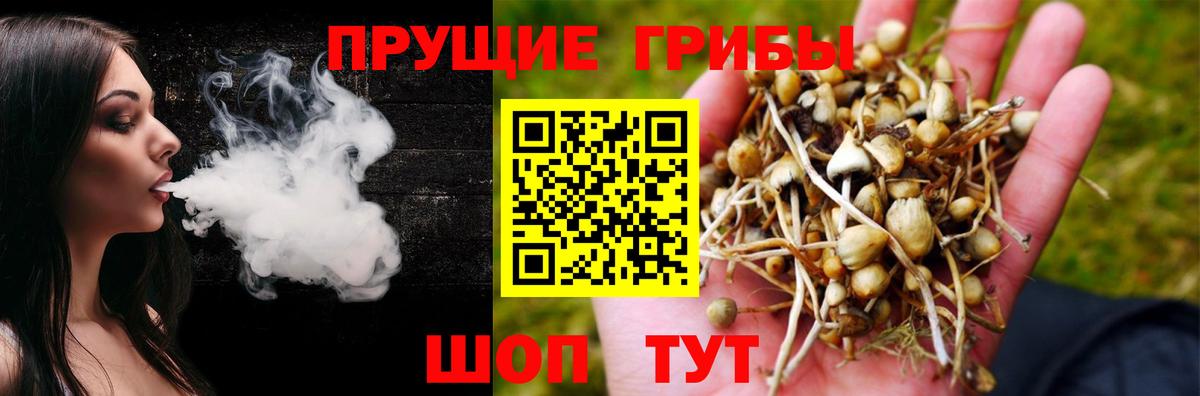 Псилоцибиновые грибы Cubensis  магазин  наркотиков  Строитель  Вход с VPN 