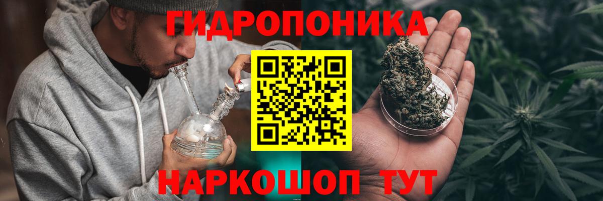 Каннабис White Widow  Бошки Шишки тримм  Строитель  МАРИХУАНА семена  Вход с VPN 
